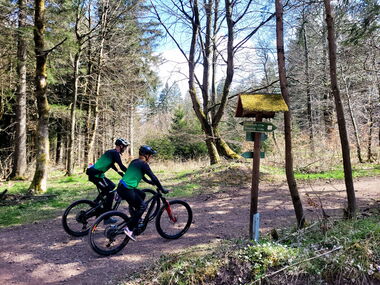 Radfahrer auf der Panorama MTB-Tour Inselsberg