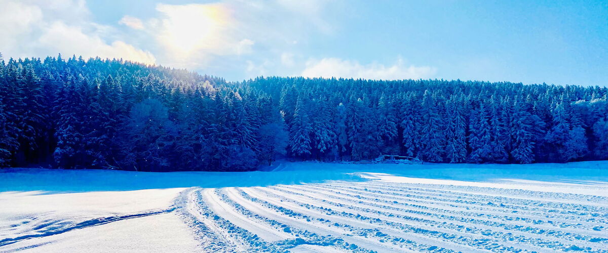 Winterlandschaft am Rodelhang Ochsenschau bei Friedrichroda