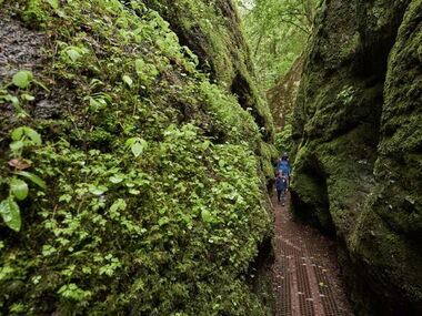 Impression von der Drachenschlucht bei Eisenach