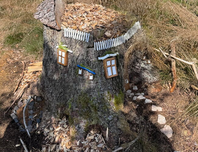 Wichtelpfad Finsterbergen