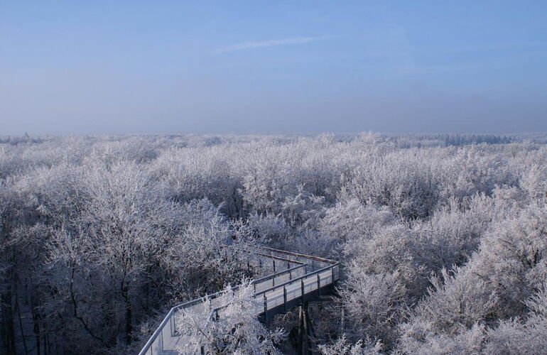 Der Blick vom Baumkronenpfad über den schneebedeckten Hainich. © 