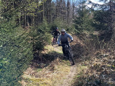 Radfahrer auf einem Singletrail der Panorama MTB-Tour Inselsberg