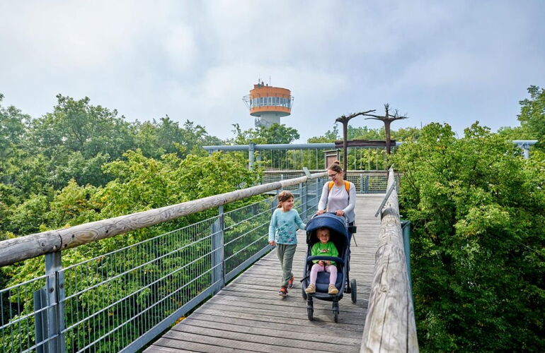 Familie mit Kinderwagen auf dem barrierefreien Baumkronenpfad im Nationalpark Hainich. Im Hintergrund der Aussichtsturm. © Florian Trykowski