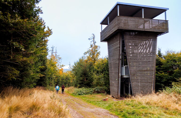 Aussichtsturm am Rennsteig bei Finsterbergen